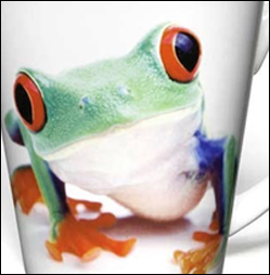 Digitally Promotional Mugs are a decorating option available from MUGS UK